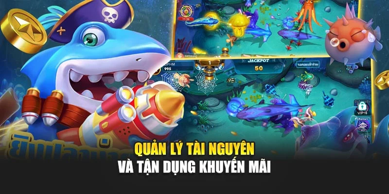 Quản lý tài nguyên và tận dụng khuyến mãi